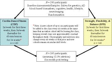 Frontiers | examining the efficacy of a cardio-dance intervention on